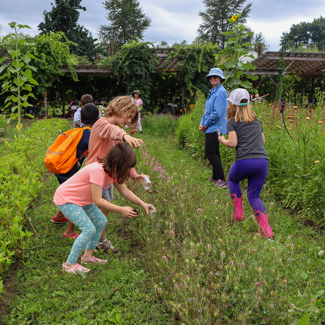 Family Relaxing Outdoors